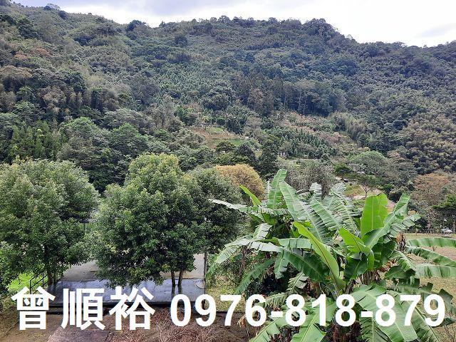 新竹尖石農地-11