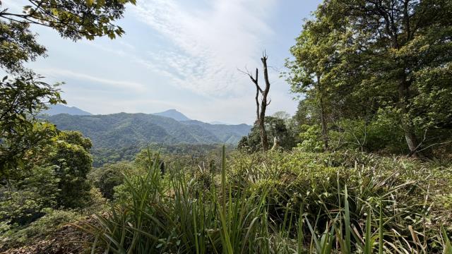 新竹北埔農地-1