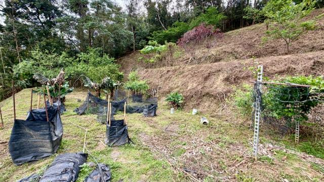 新竹北埔農地-11
