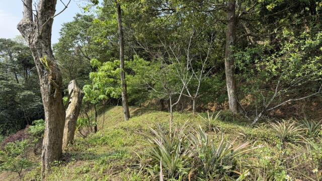 新竹北埔農地-2