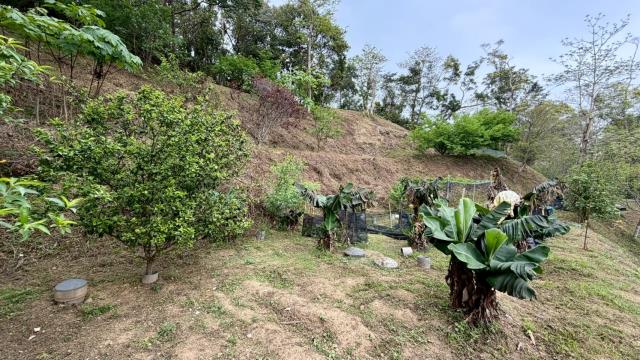 新竹北埔農地-12
