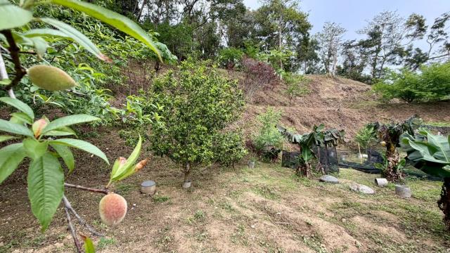 新竹北埔農地-13