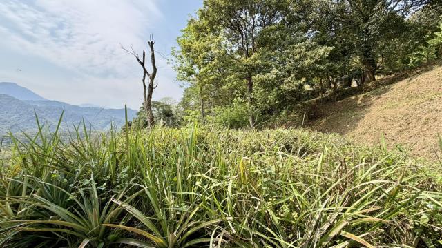 新竹北埔農地-4