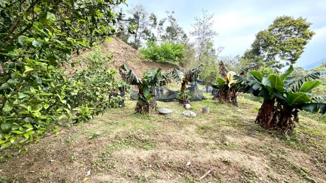 新竹北埔農地-14