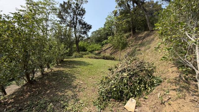 新竹北埔農地-5
