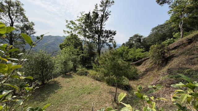 新竹北埔農地-7