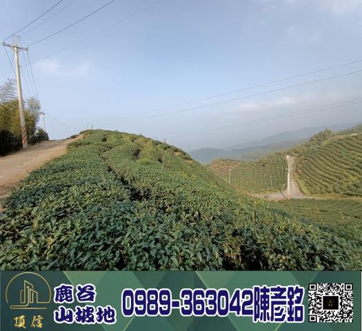 南投鹿谷工業地-8