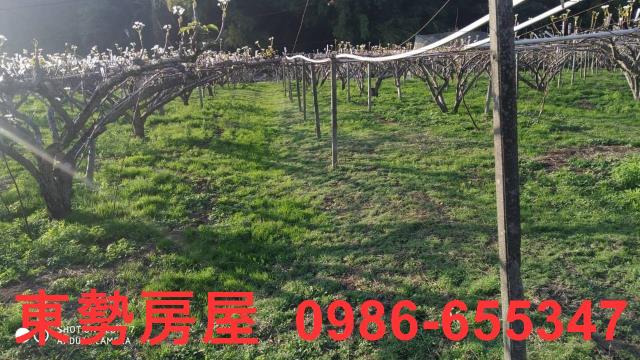 東勢農地-3