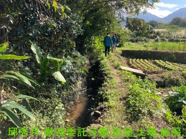 新北三芝都市計畫內-3