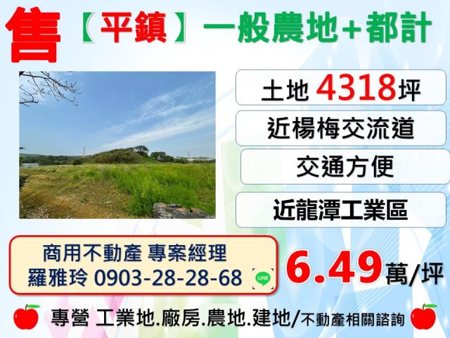 桃園平鎮農地-1