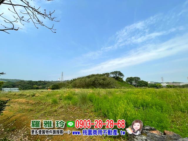 桃園平鎮農地-2