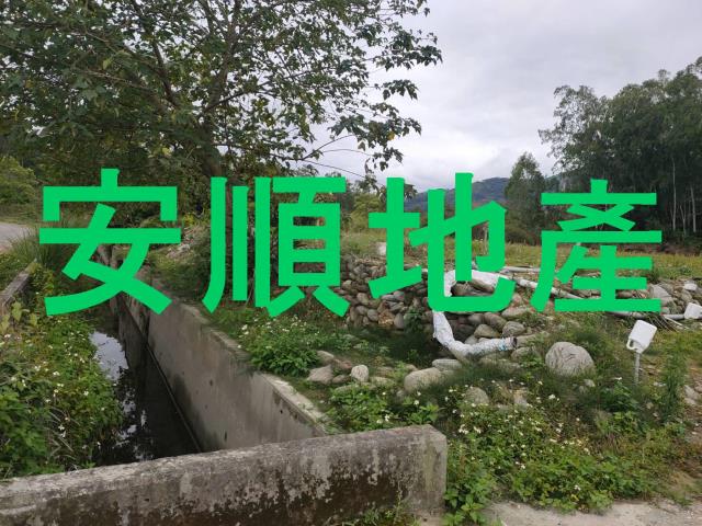 台東鹿野農地-2
