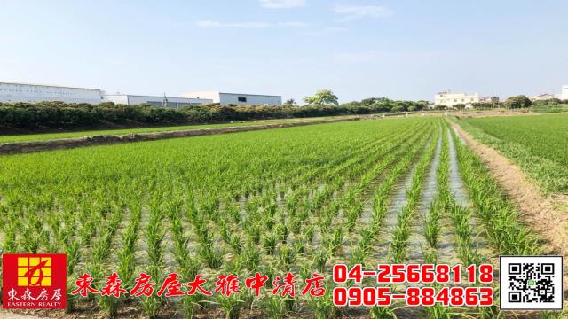 大雅農地-1