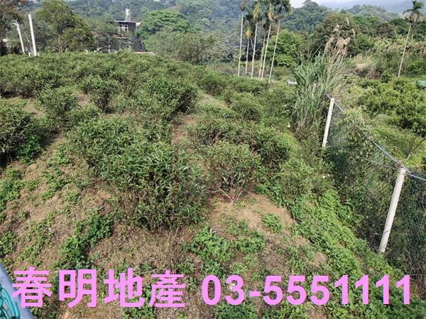 新竹北埔殯葬用地-4