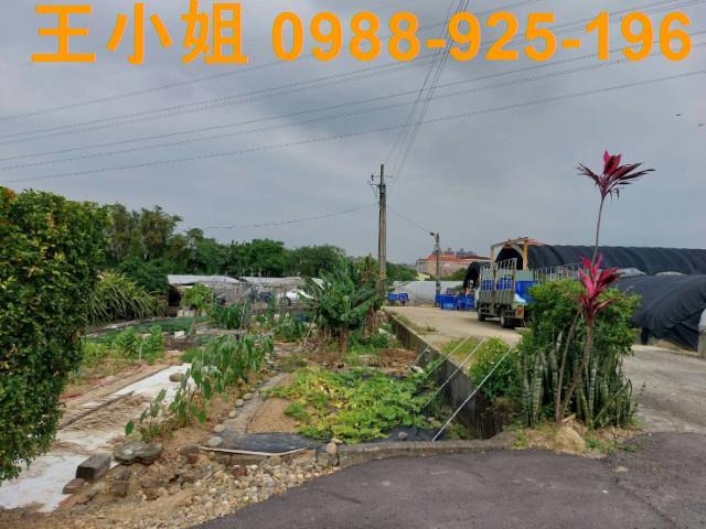 桃園桃園區農地-4