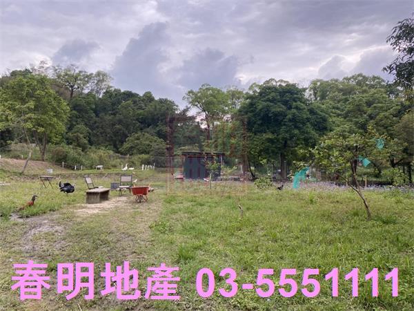 橫山農地-1