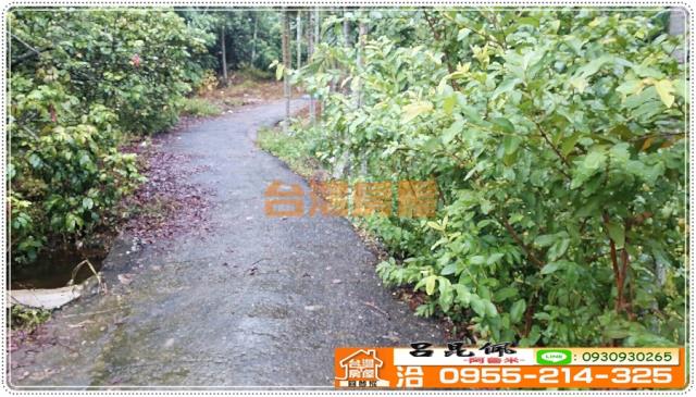 東區農地-4