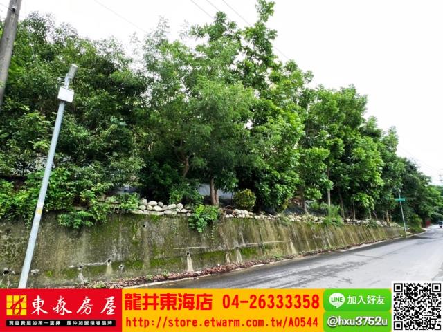 台中豐原農地-1