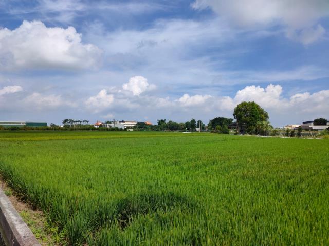 彰化埔鹽農地-9