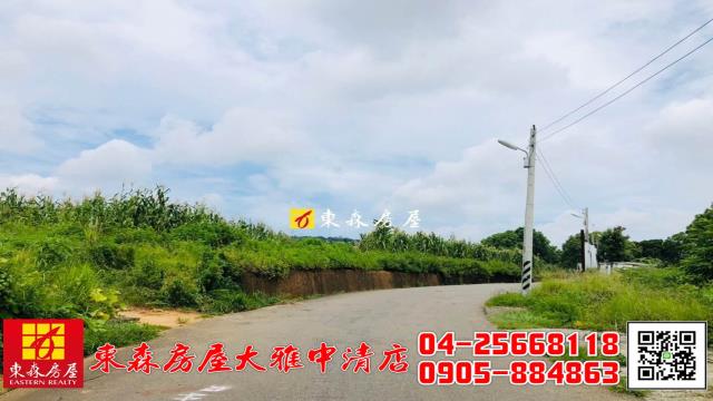 大雅農地-8