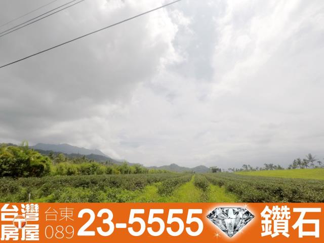 台東仲介