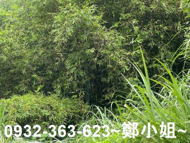 大溪農地-7