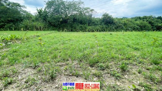 新竹關西農地-10