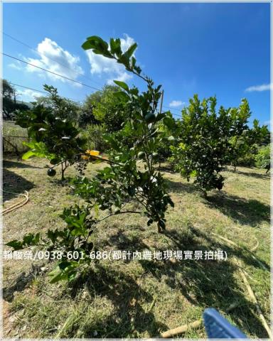 桃園楊梅都計內農地售