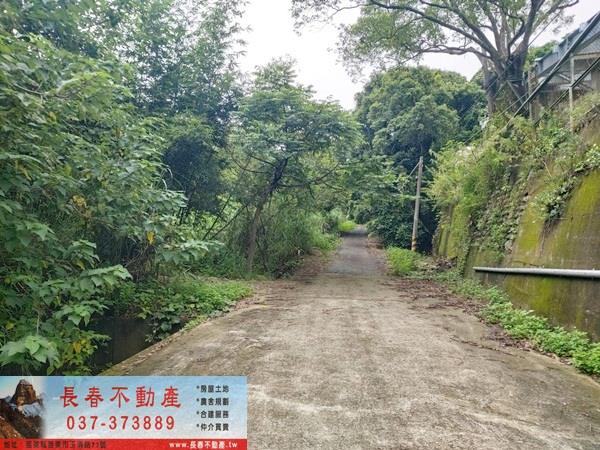 頭屋農地-4