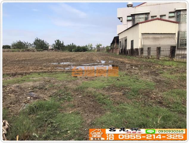 西區農地-2