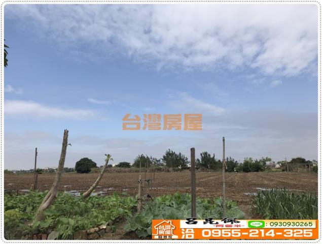 西區農地-3