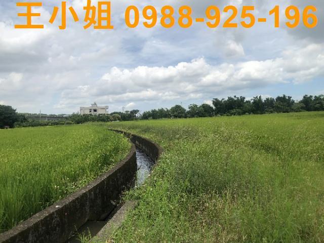 桃園蘆竹農地-8