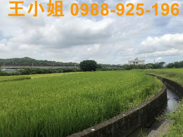 桃園蘆竹農地-6
