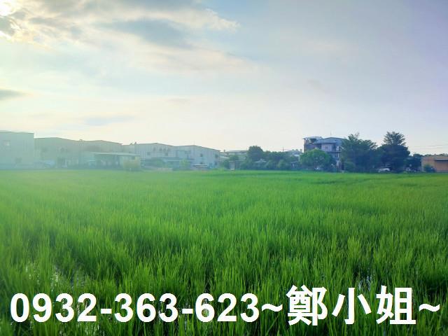 八德農地-5