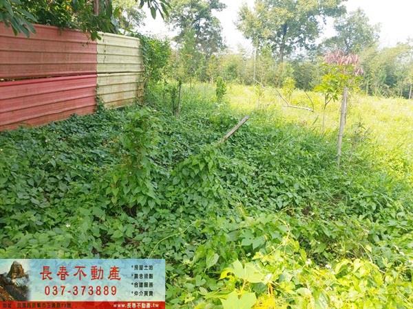頭屋農地-3