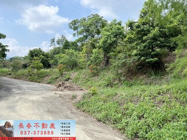 頭屋農地-5