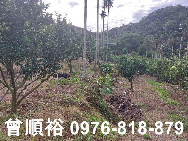 新竹農地-7