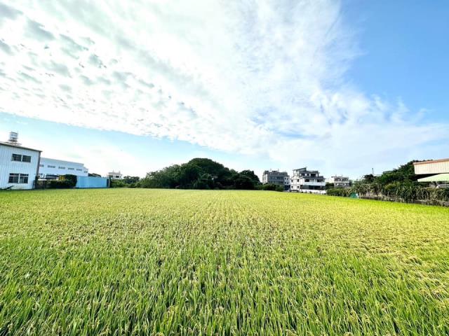 台中大雅農地-2