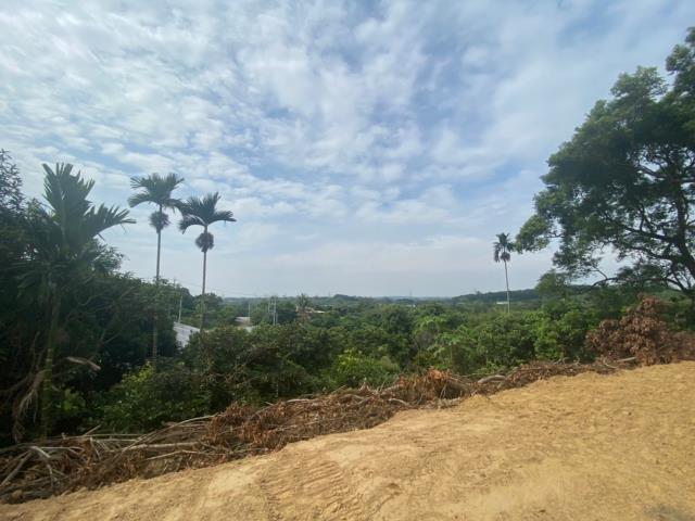 台南大內農地-4