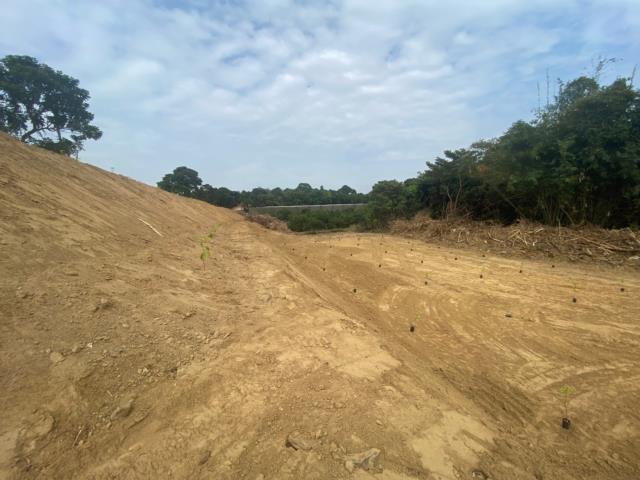 台南大內農地-7