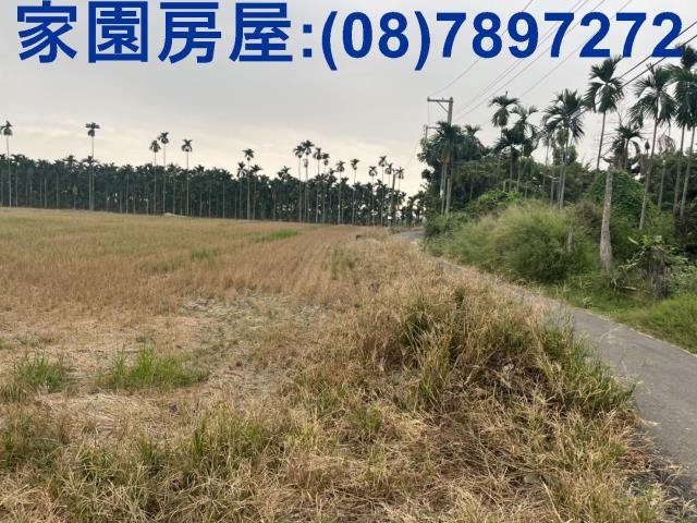 屏東農地-2