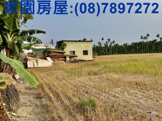 屏東農地-4