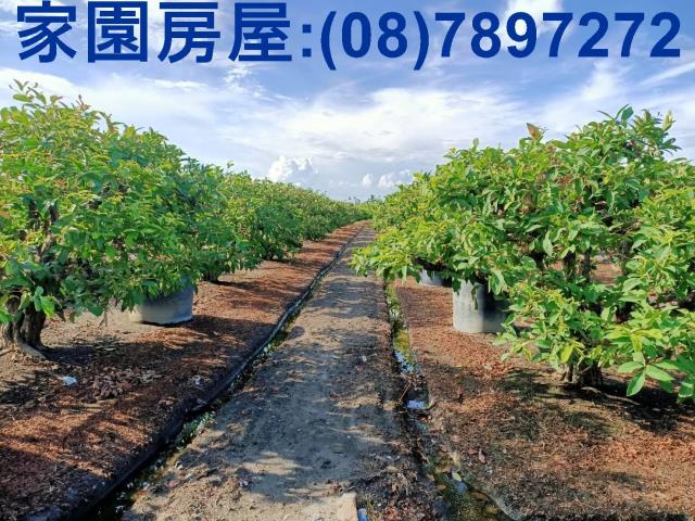 南州農地-2