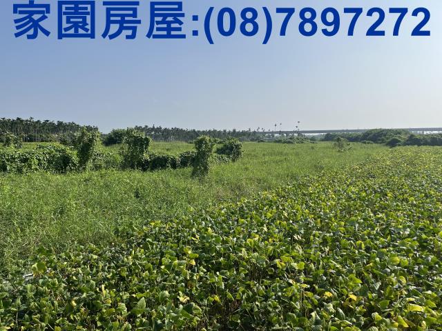 屏東潮州農地-1