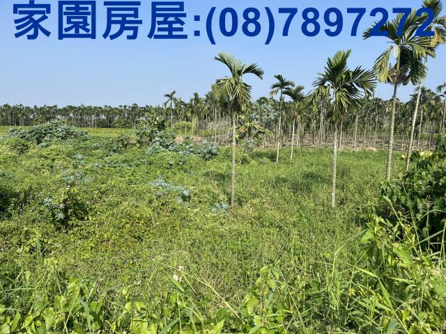 屏東潮州農地-3