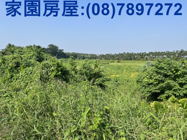 屏東潮州農地-5