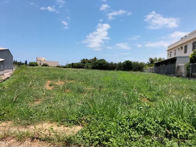 桃園新屋農地-2