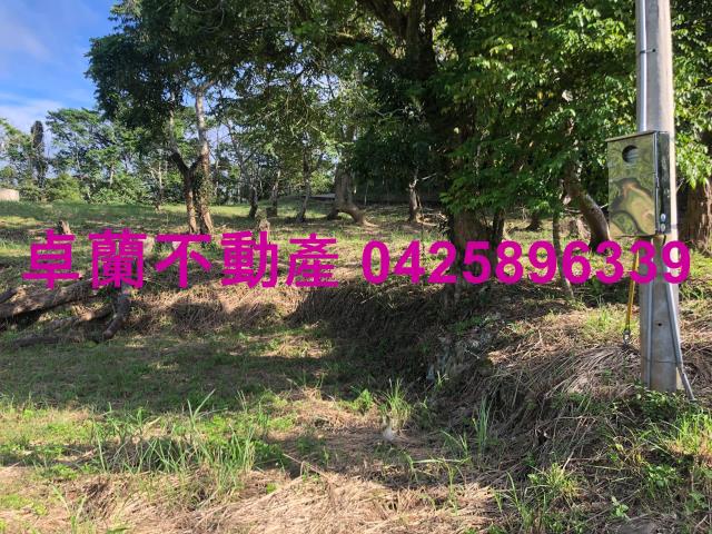 苗栗卓蘭農地-4