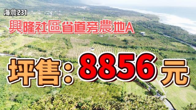 興隆社區近省道美農地