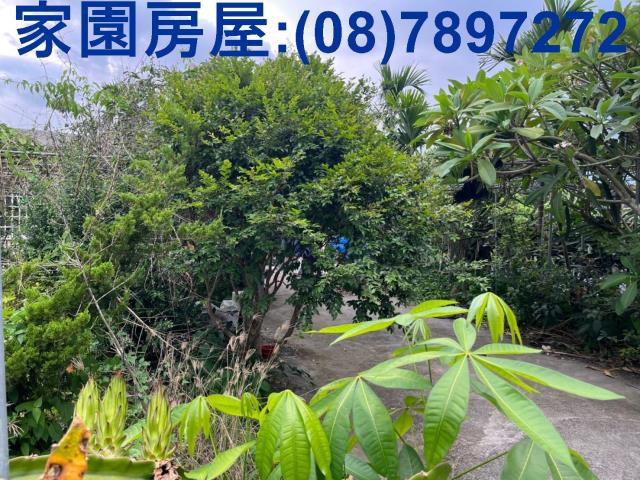 竹田農地-2